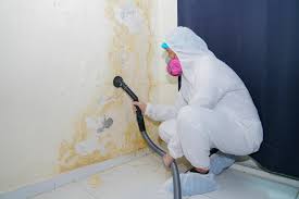 Best Environmental Consulting for Mold Prevention in Lewisburg, KY